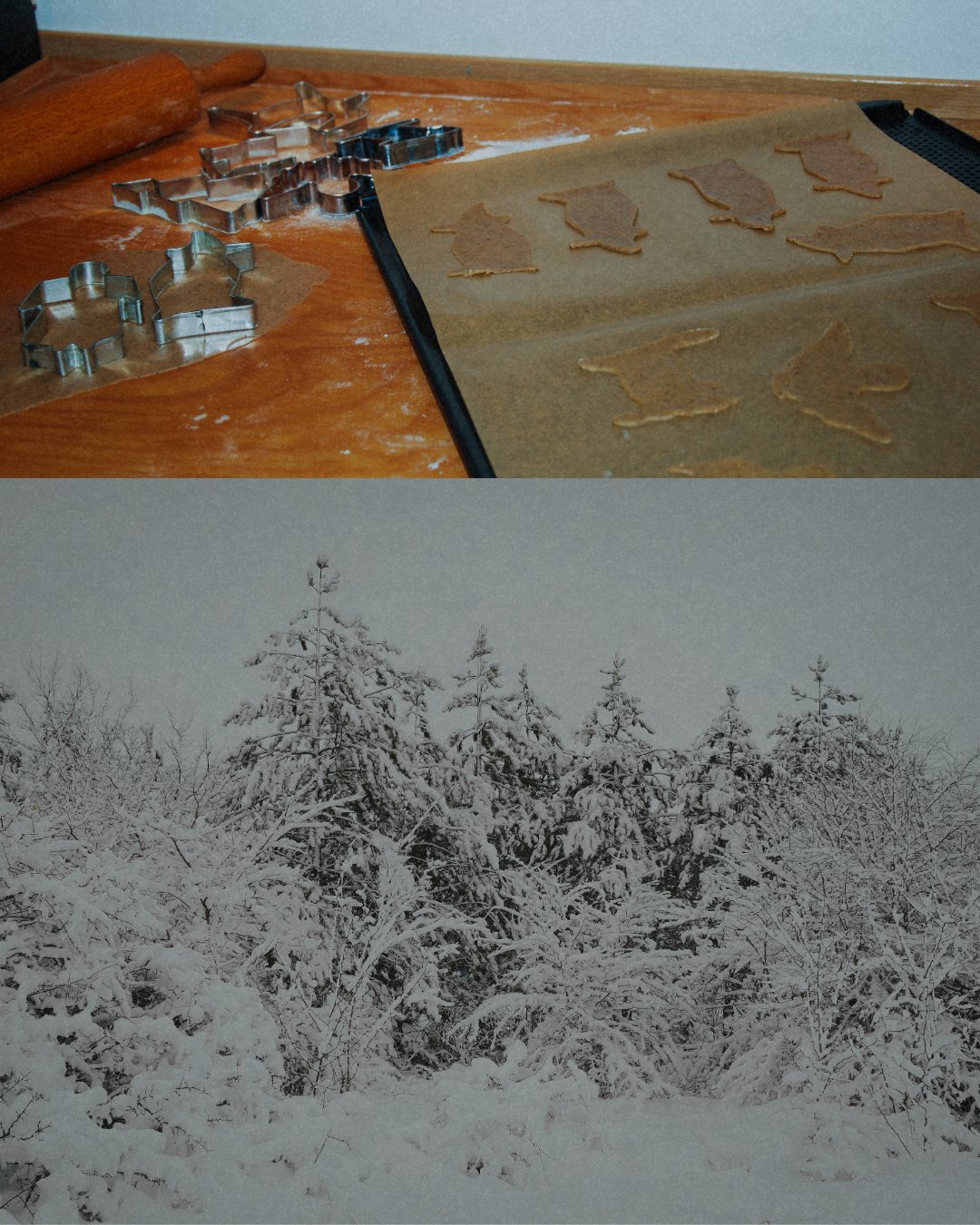 Pieczenie pierników i zimowy las